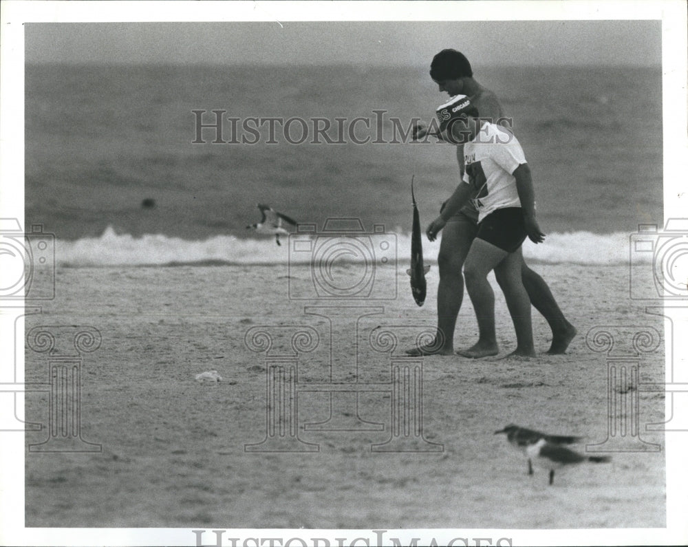 1986 Steve Daniels And Duane Sledz With Catch Of Black Tipped Shark - Historic Images