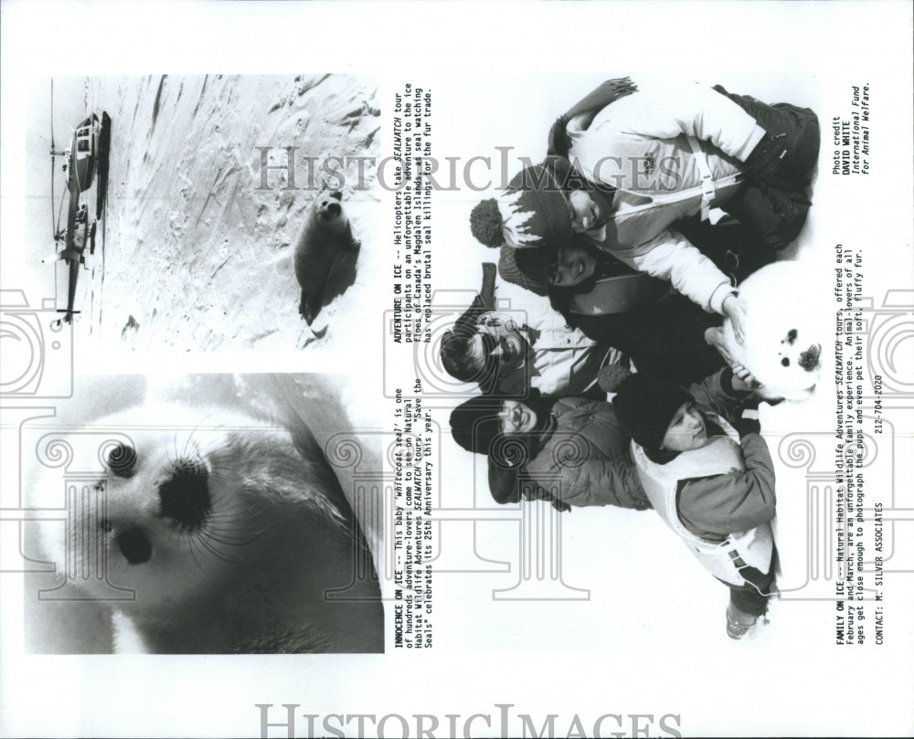 1992 "Sealwatch" tours - Historic Images