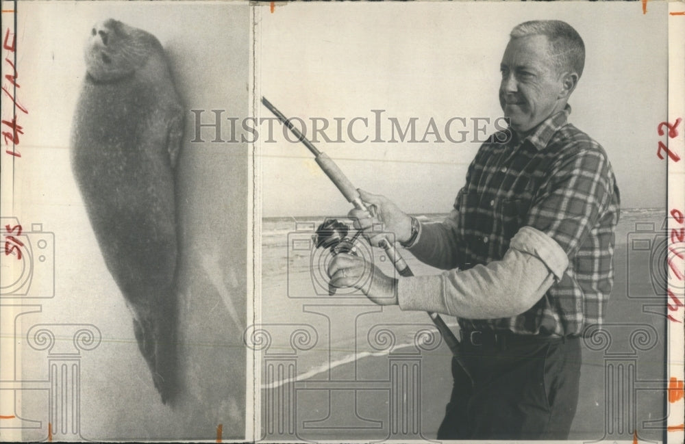 1968 Francis Green, Wexford Pa. catches harp seal  - Historic Images