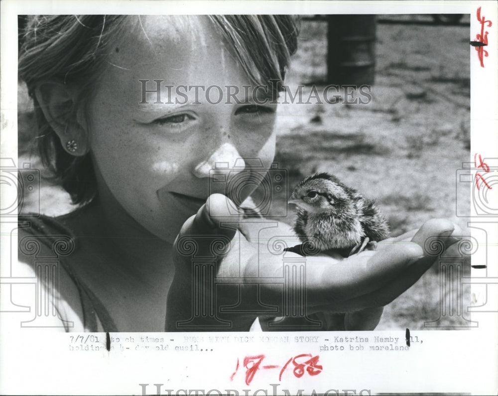 1981 Katina Hamby holding baby quail  - Historic Images