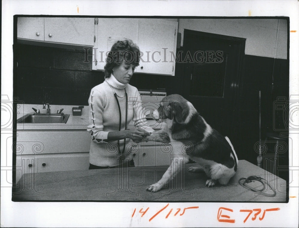 1974 Sandy Kohler works at SPCA - Historic Images