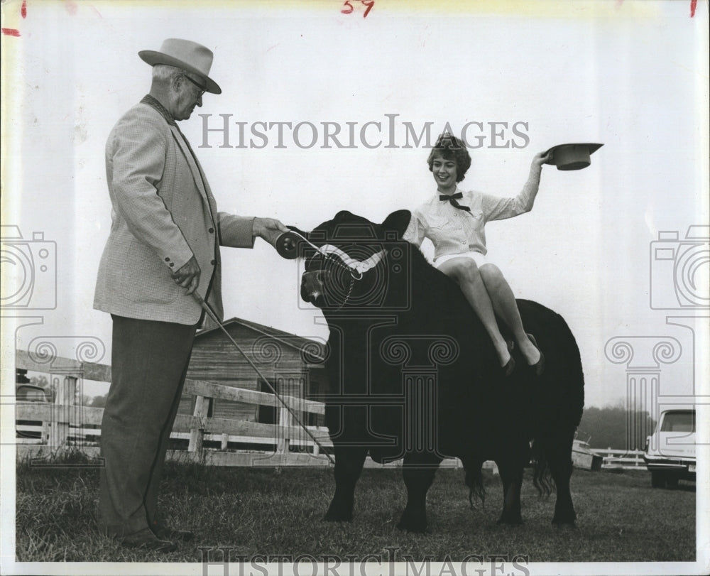 1963 Manatee County Fair Queen Linda Mulholland atop a bull - Historic Images