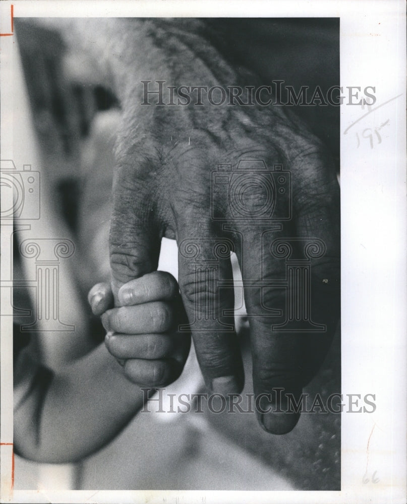 1975 Press Photo A loving touch. - Historic Images