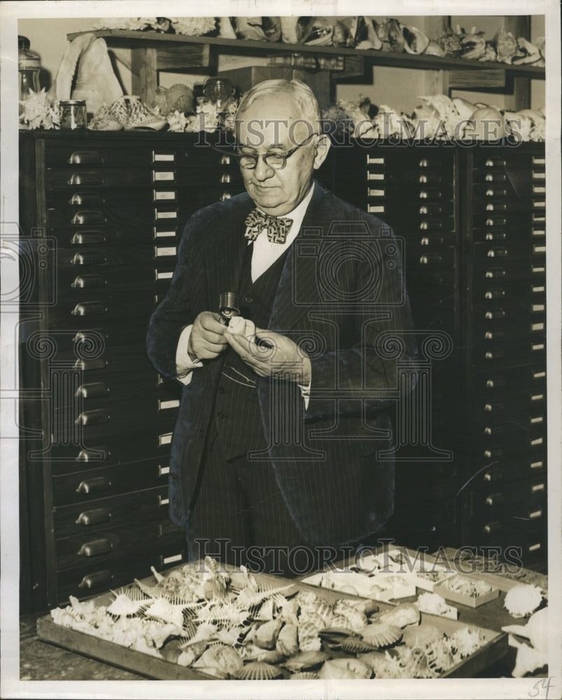 1950 Walter F Webb Shell Collector - Historic Images