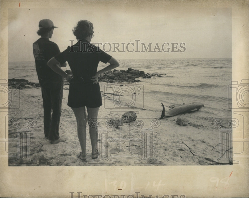 1976 Beached False Killer Whale - Historic Images