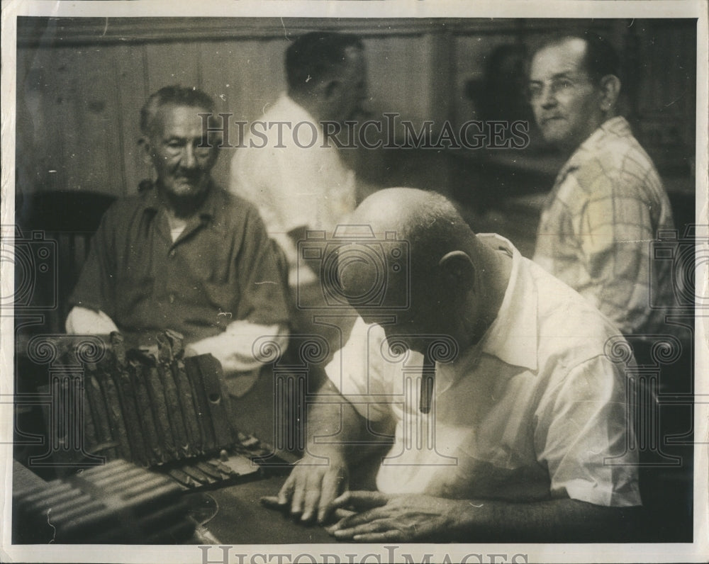 Press Photo Workers Prepare Cigars In Factory In Tampa Florida - Historic Images
