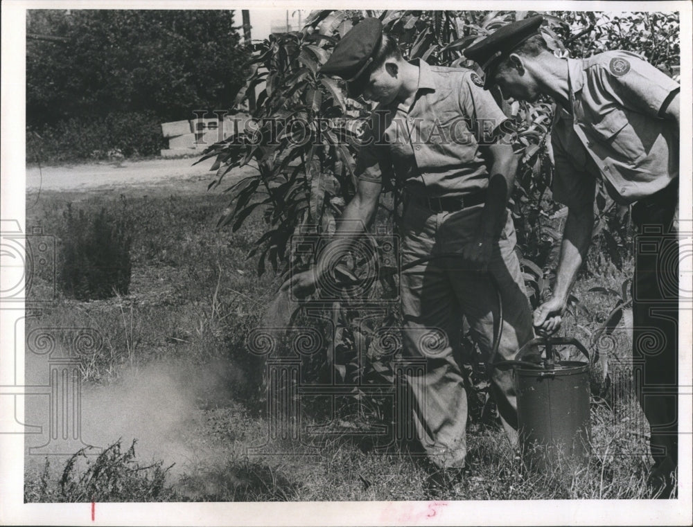 1965 Firemen Put out Fire Caused by Cigarette Butt During Drought - Historic Images