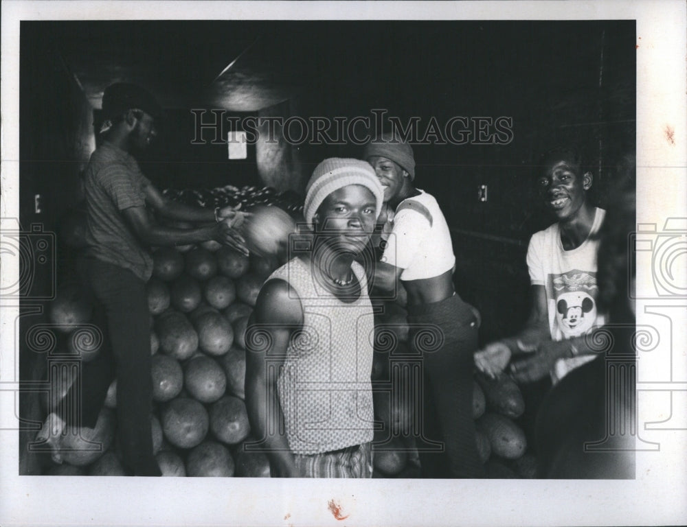 1976 Field Hands Load Watermelons - Historic Images