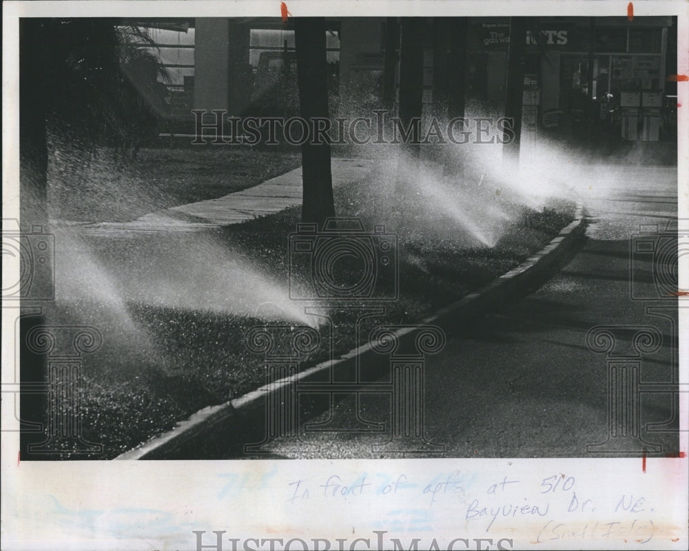 1981 Illegal watering in St. Petersburg - Historic Images