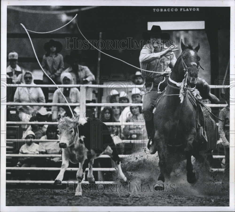 1981 Rodeo contestant is roping calf - Historic Images