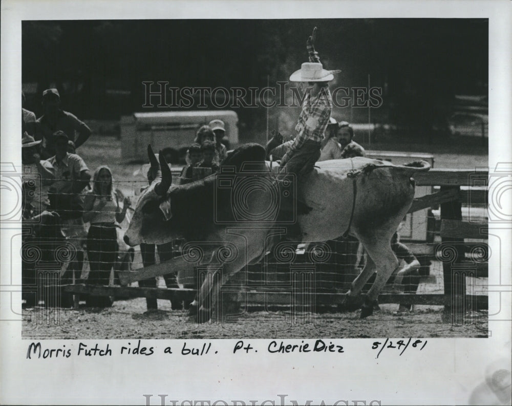 1981 Morris Fitch rides a bull. - Historic Images