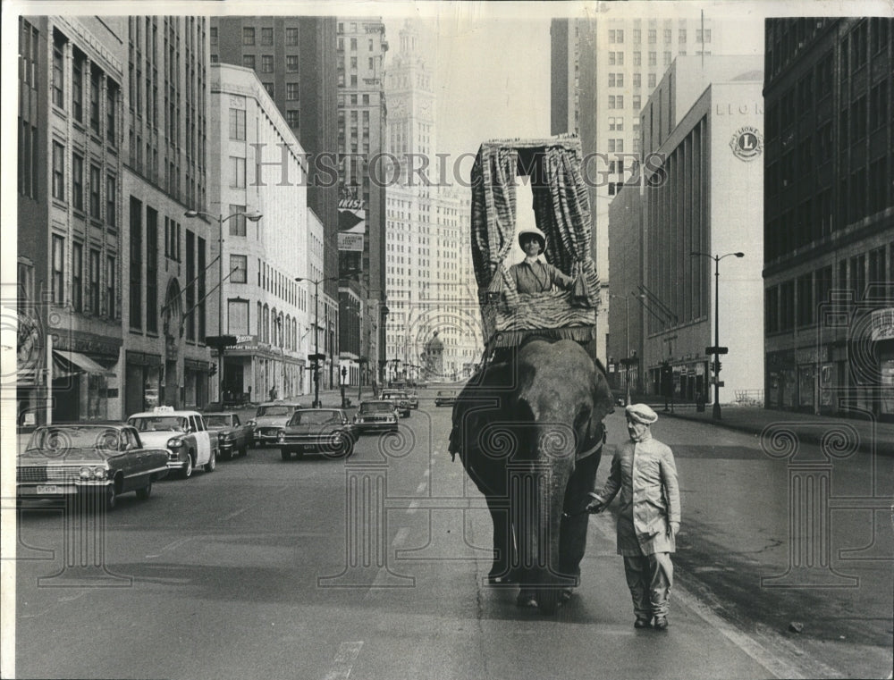 1965 &quot;Jewel&quot; the Elephant on Michigan Ave Ray Bush, Barbara Feldon - Historic Images