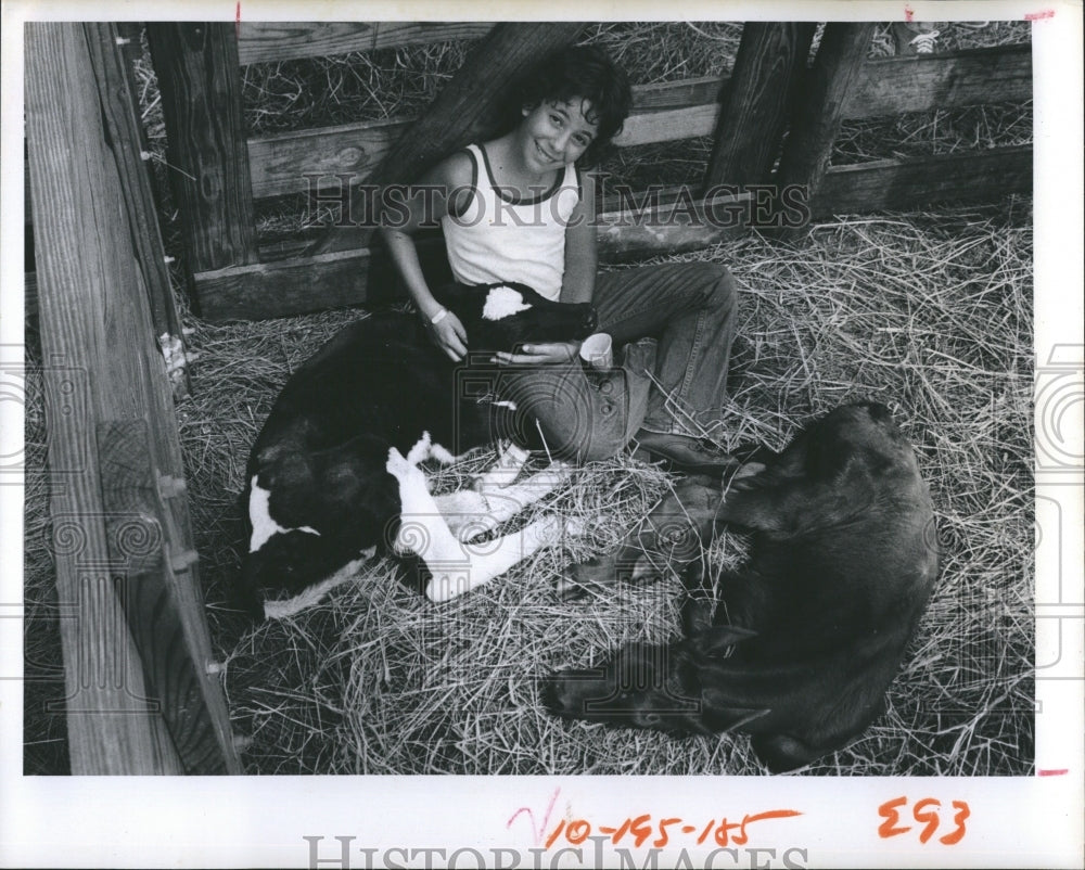 1973 Susan Fragnoli watched a calf being born - Historic Images