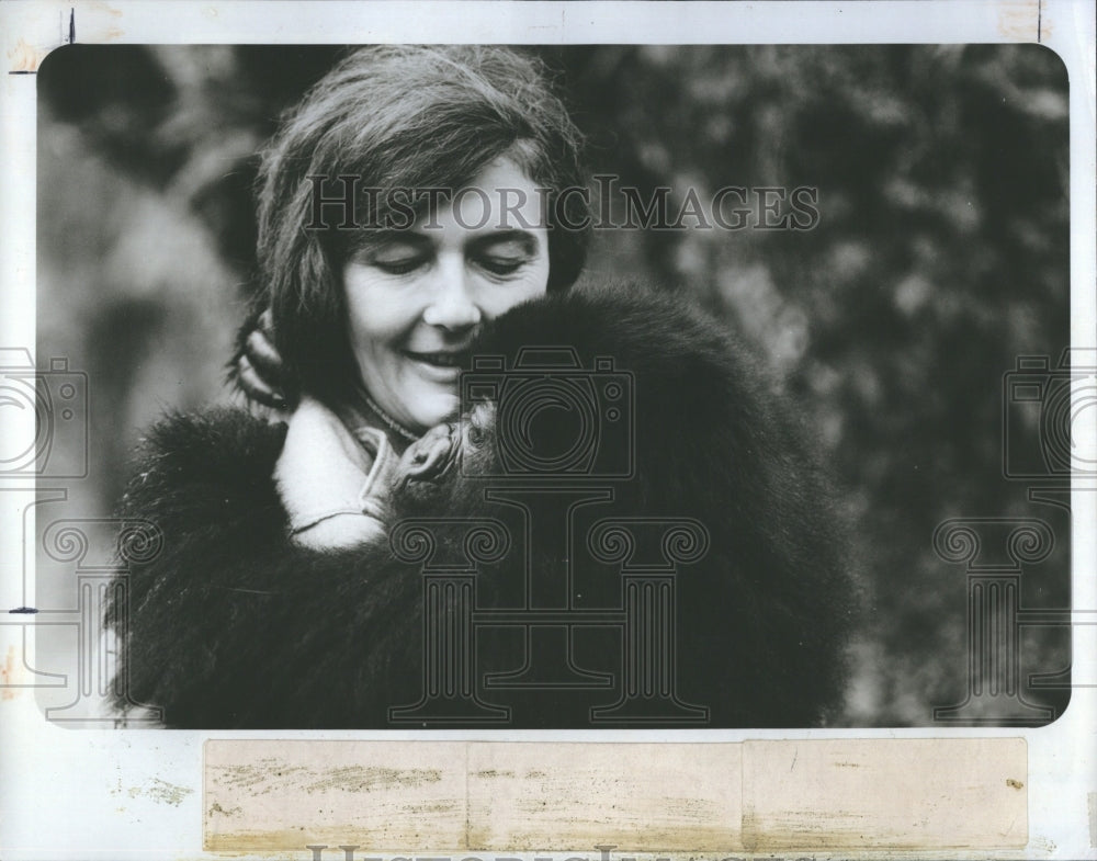 1981 Dr.Dianne Fossey with the gorilla - Historic Images