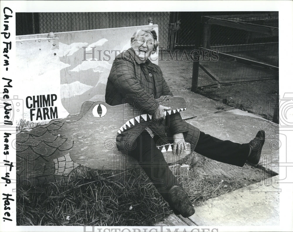 Press Photo A picture of Chip Farm - Historic Images