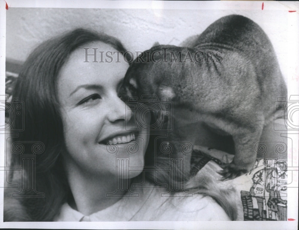 1969 Mrs. Edmund Dorman with a kinkajou. - Historic Images