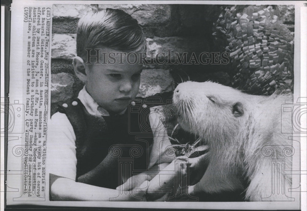 1970 David Moore Feeds Snowflake, A Nutria At Natural Science Center - Historic Images