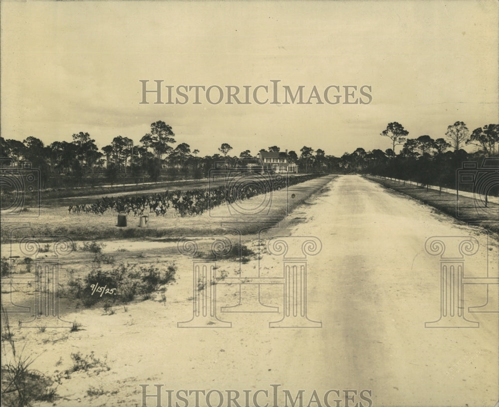 1925 Dutch colonial style house in Rio vista in Florida - Historic Images