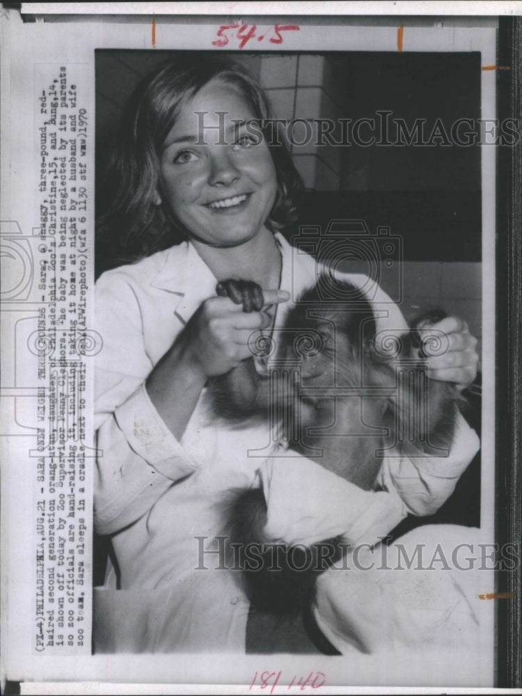1970 Sara, baby orangutan with zoo supervisor Penny Claghors - Historic Images