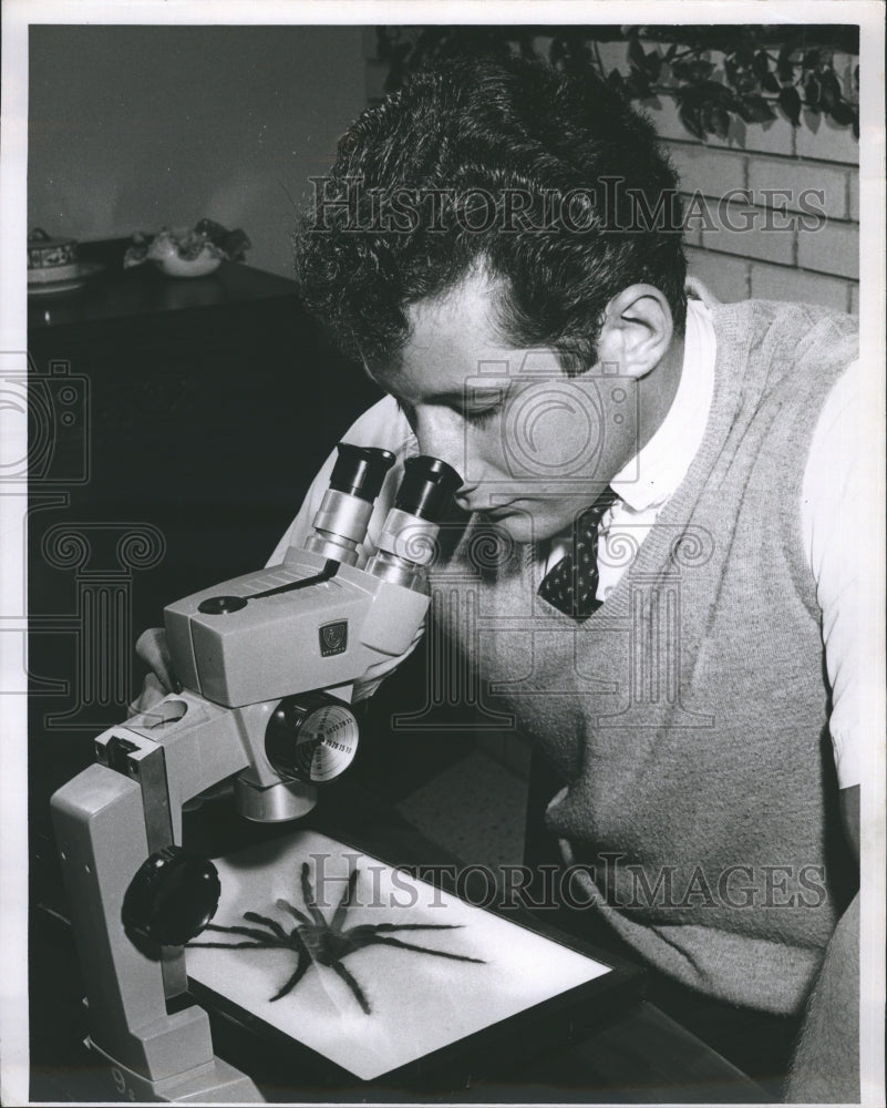 1965 Stanley Morey Researcher Looking At Spider - Historic Images