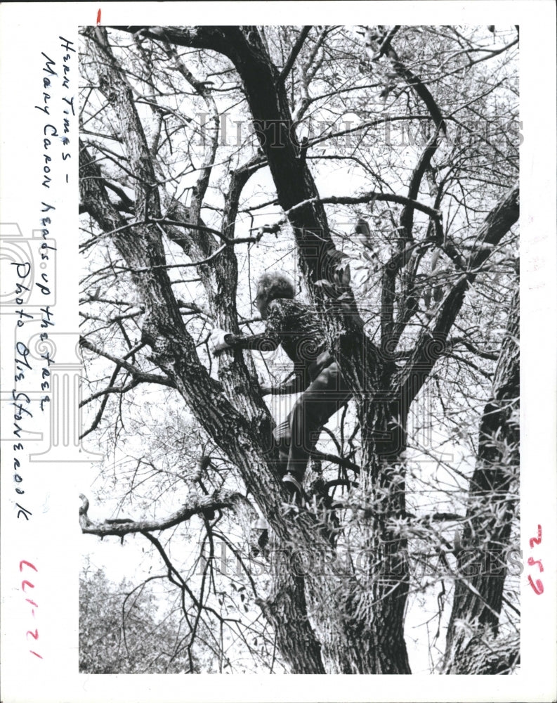 Press Photo Landscaper Mary Caron Climbs Oak Tree to Trim Branches - Historic Images