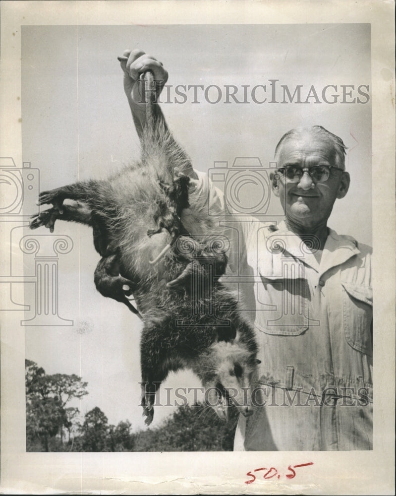 1961 Mr. Richardson hols a Opossum with five babies. - Historic Images