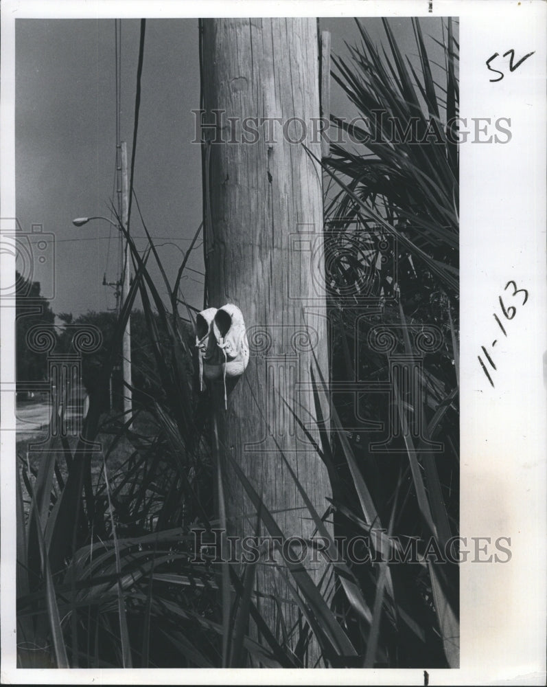 1978 Shoes Tacked to a Light Pole In Gulfport On 58th Street - Historic Images