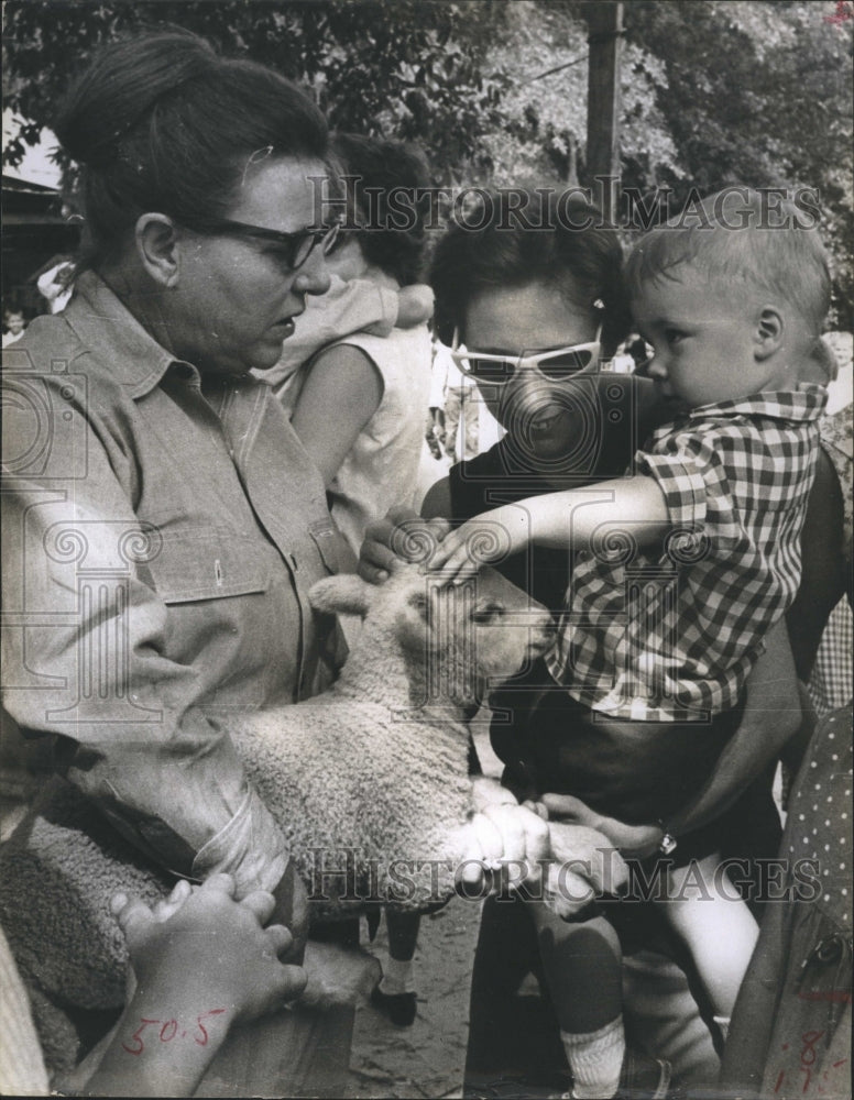 1966 Press Photo Mrs Fred Conrad Donates Sheep Nancy Gibson And Son Shown Also - Historic Images