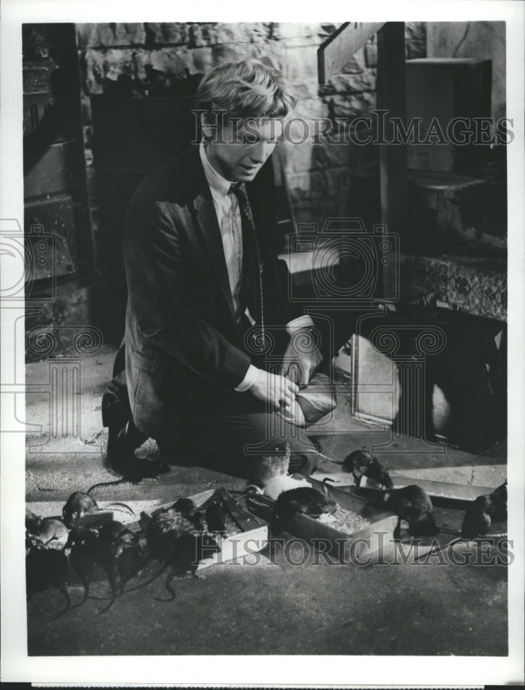 1974 Actor Bruce Davison Willard TV CBS Friday Night Movie Rats - Historic Images