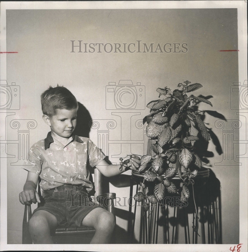 1976 Tommy Whitton hols up a small leaf cluster. - Historic Images