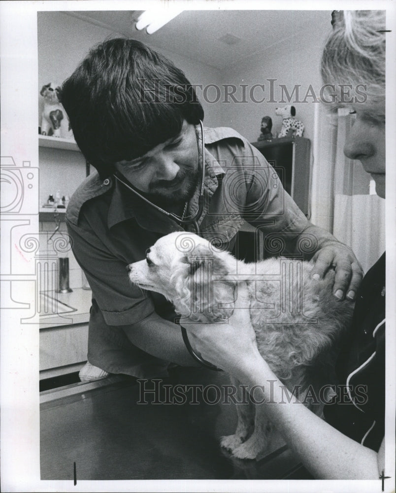 1979 Private Veterinarian M.H McGlamery examines a dog. - Historic Images