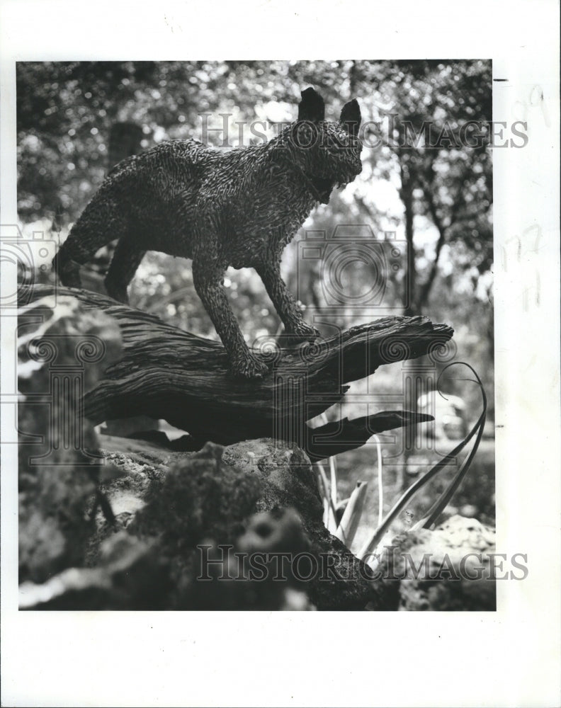 1980 Bobcat sculpture at Larry Whidden's home - Historic Images