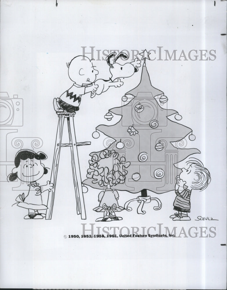 1989 Press Photo "A Charlie Brown Christmas" cartoon - Historic Images