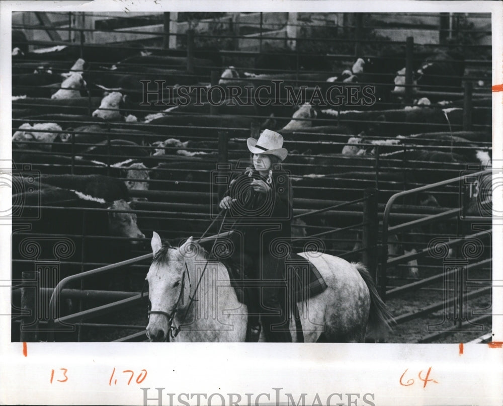 1973 Andrea Jaggers rounds up cattle herds auction ring Nebraska - Historic Images