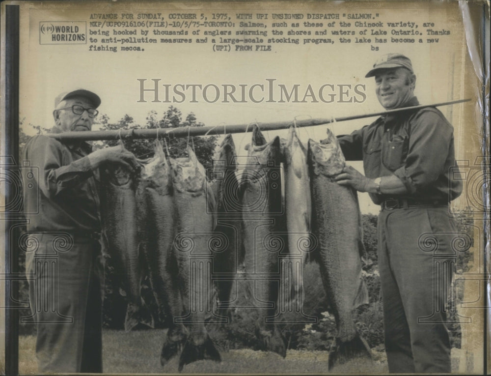 1975 Salmon From Chinook River And Lake Ontario - Historic Images