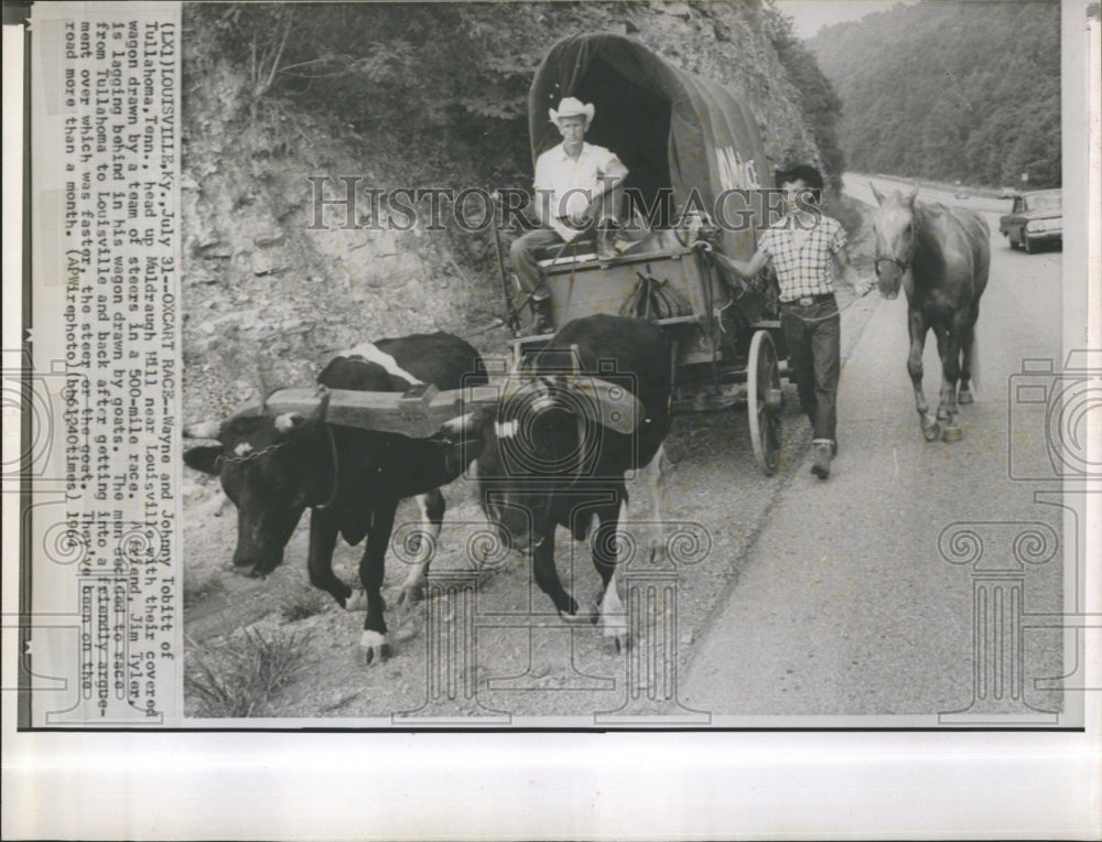 1964 Wayne Johnny Tobitt Covered Wagon Steers Race - Historic Images