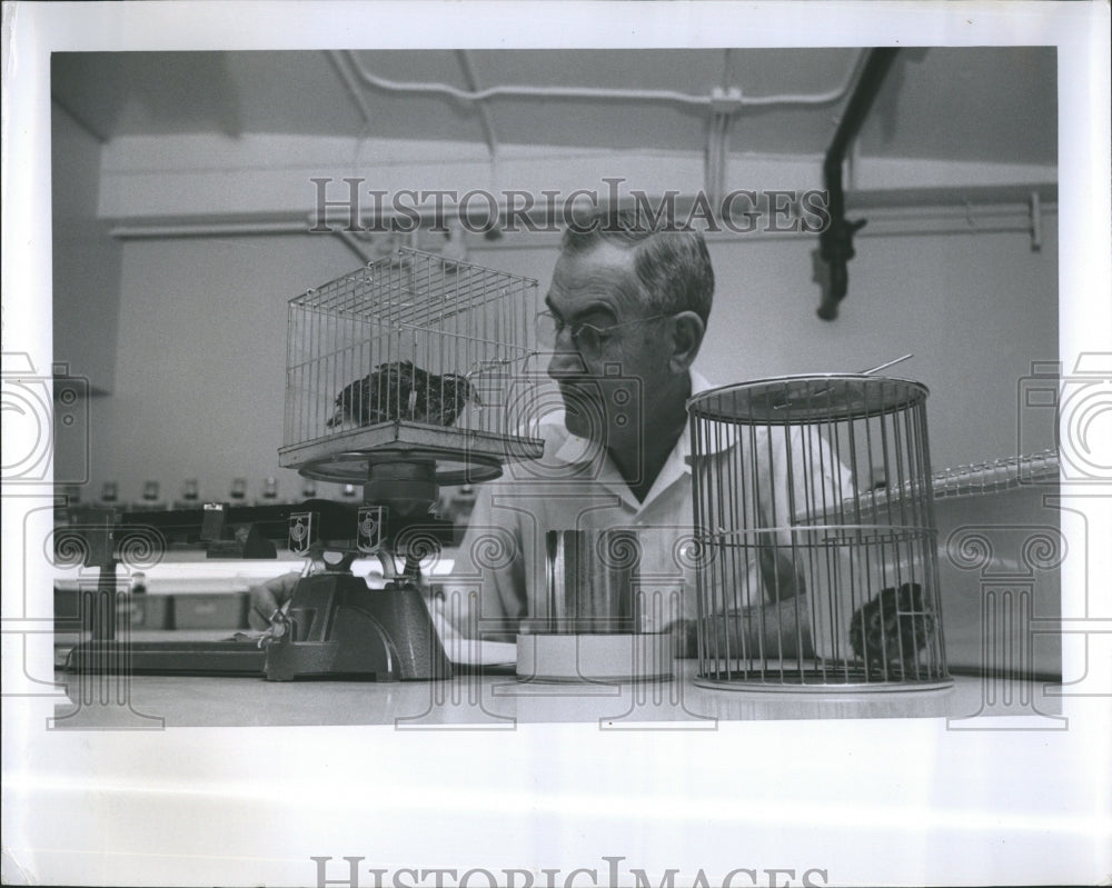 1965 Dr Wayne Neal ,Biochemist at Germfree Center - Historic Images