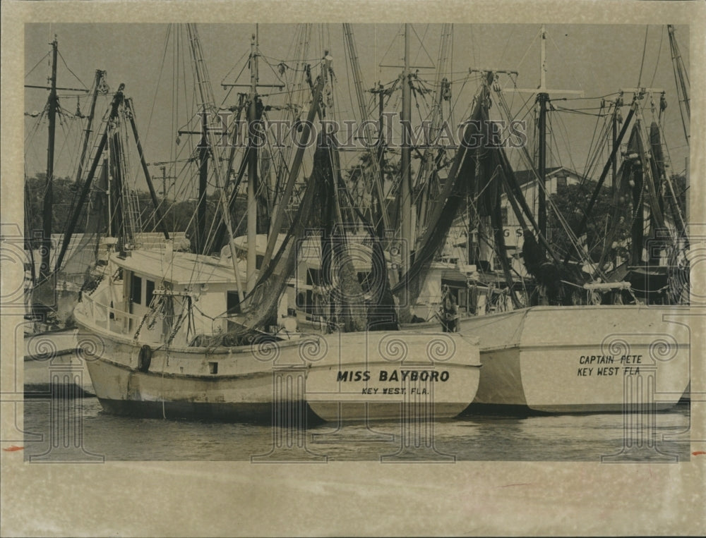 1963 Part Of The Shrimp Boat Fleet In Pinellas County - Historic Images
