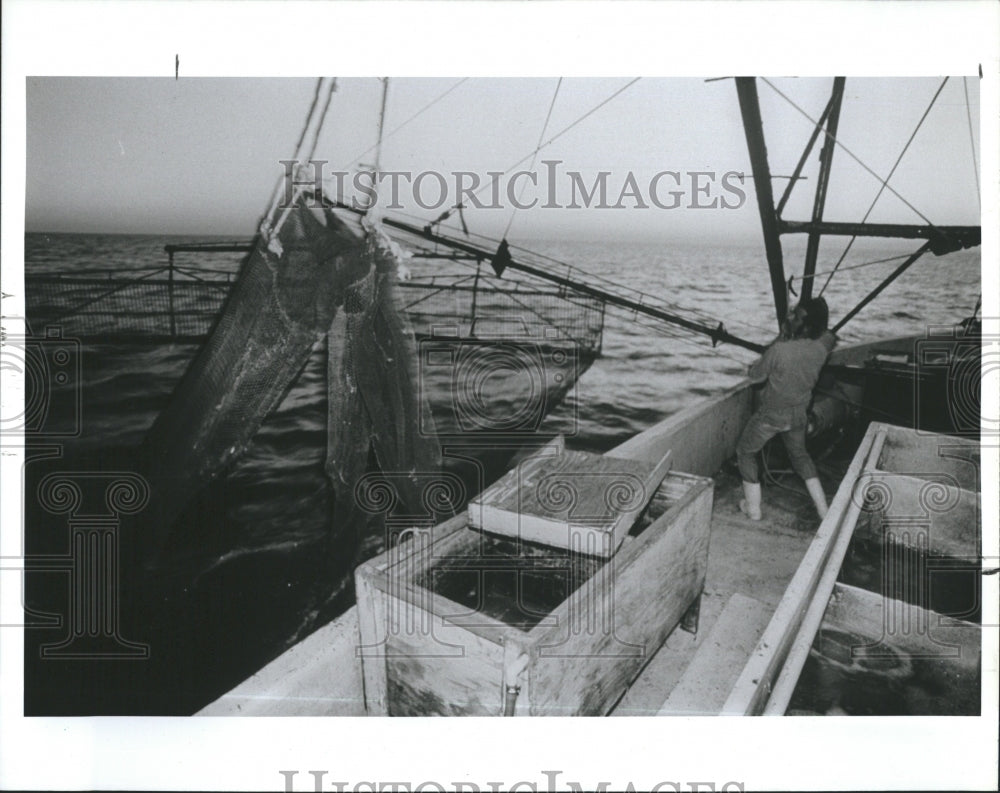 1989 Press Photo Shrimp Industry Bucky Bareford pulls net from Gulf - Historic Images