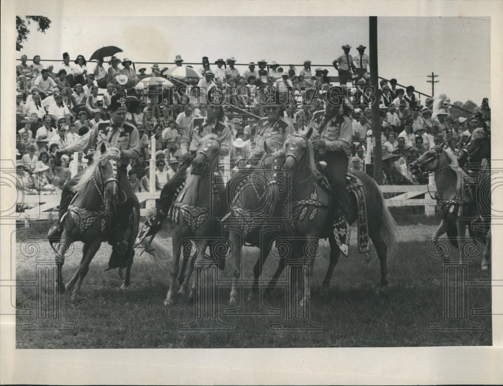1967 Palomino horses at Largo fairgrounds in Florida - Historic Images