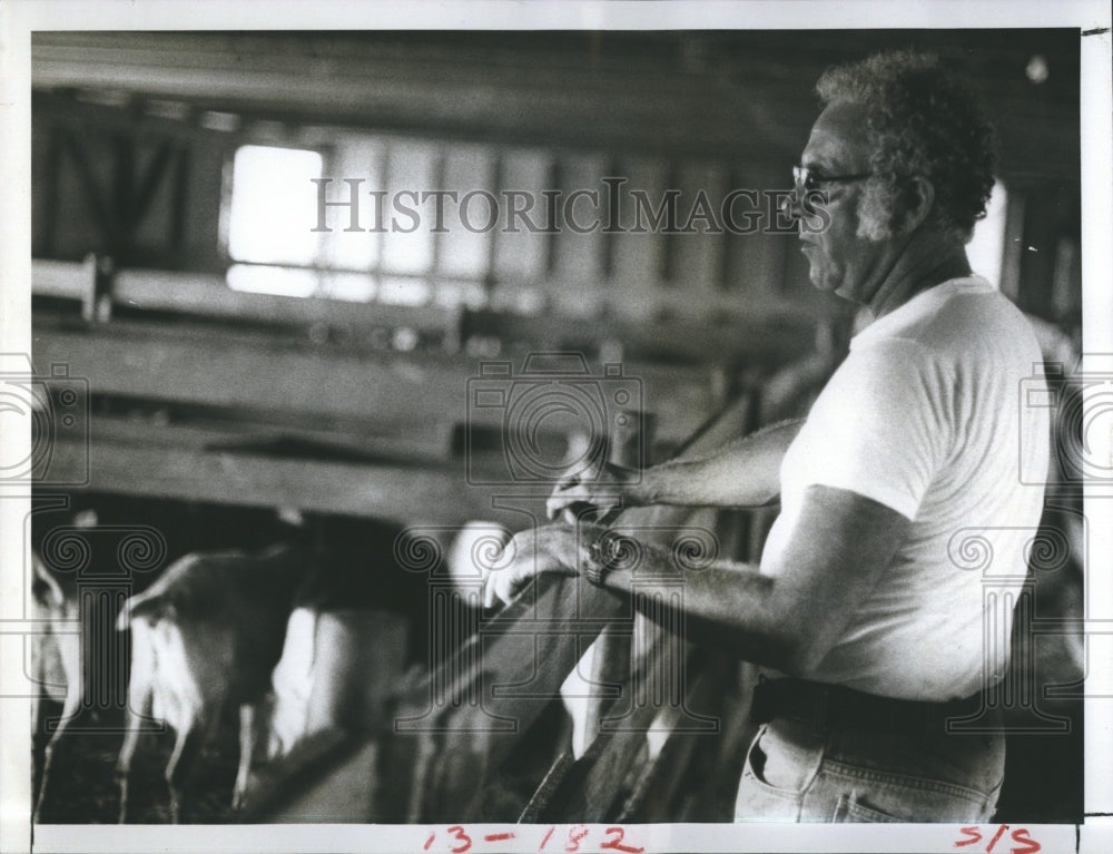 1979 Dr. Richard Knight veterinarian flock goats Rapasky farm - Historic Images