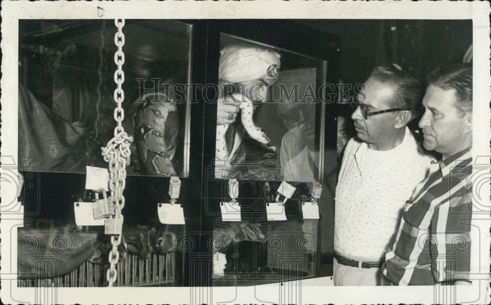 1971 Press Photo Doug Storer Watches Peter Snyman in Glass Case With Snakes - Historic Images