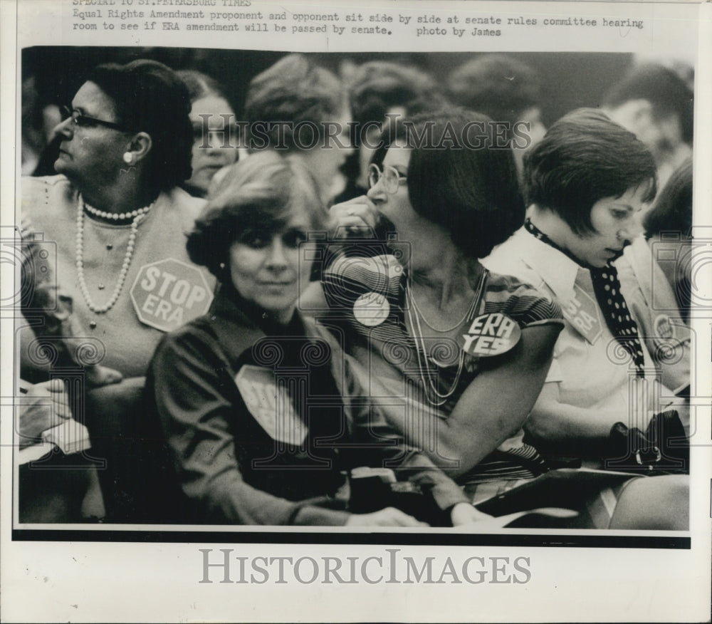 1977 Press Photo Equal Rights Amendment sits at Senate rules committee room. - Historic Images
