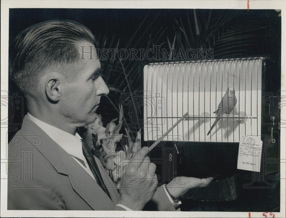 1955 Press Photo Judge Bennett Wood with Australian gray green parakeet - Historic Images