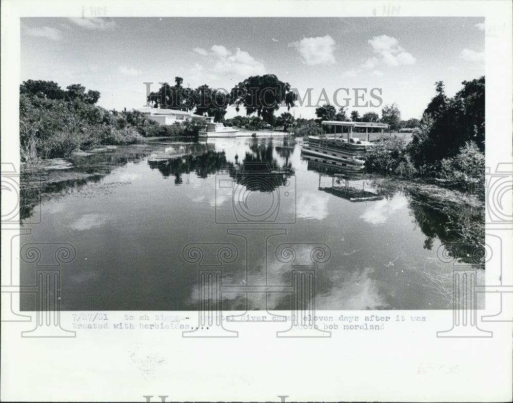 1981 Press Photo Crystal River Canal After Treatment - Historic Images