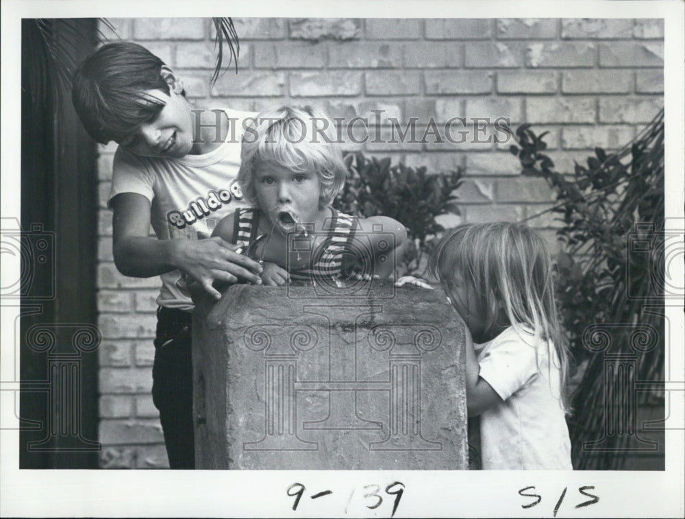 1979 Press Photo Danny McClean, Jimmy Smith And Shanna McKee At Water Fountain - Historic Images