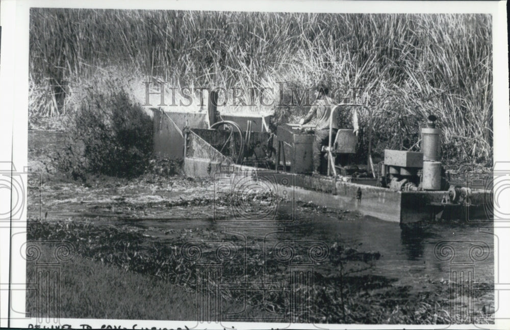 1979 Press Photo Operator Guides Cookie Cutter Through Weed Clogged Canal - Historic Images