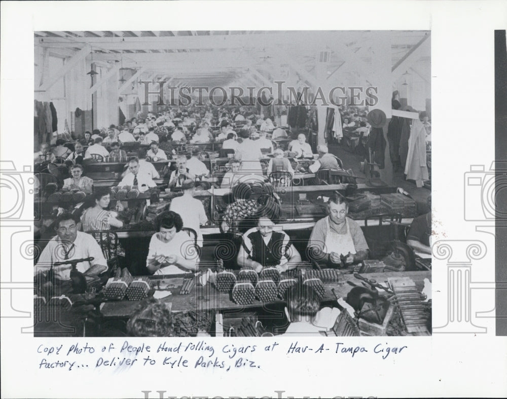 1991 Press Photo People hand rolling cigar at Tampa Cigar Factory. - Historic Images