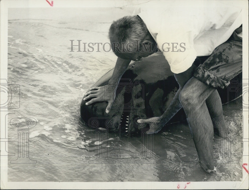 1949 Press Photo Dr Henry Kritzler examines the head of stranded whale - Historic Images