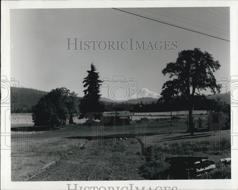 1972 Sam Hill Country, Mt. Adams, Trout Lake, Washington-Historic Images
